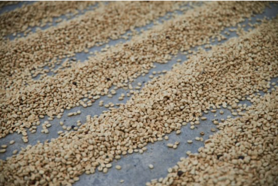 Lima Decaf