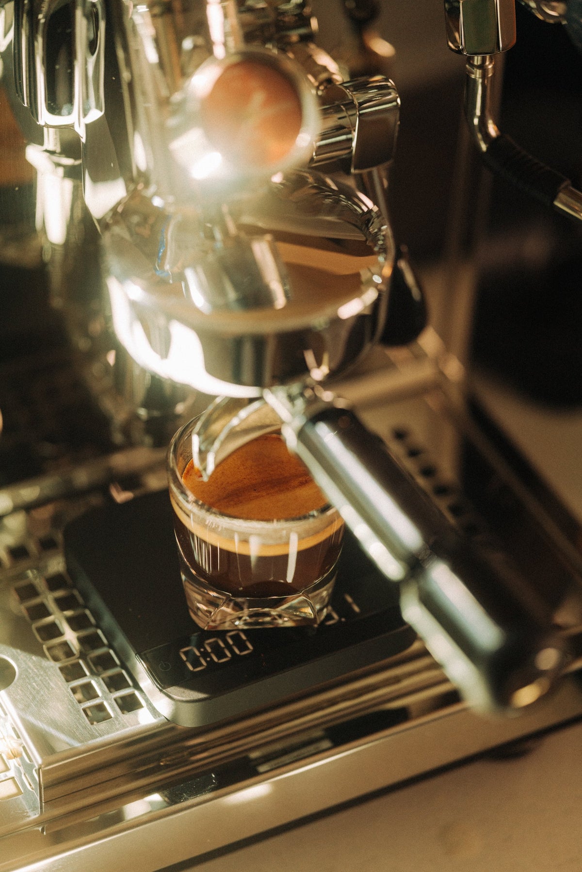 Acaia Lunar Scale
