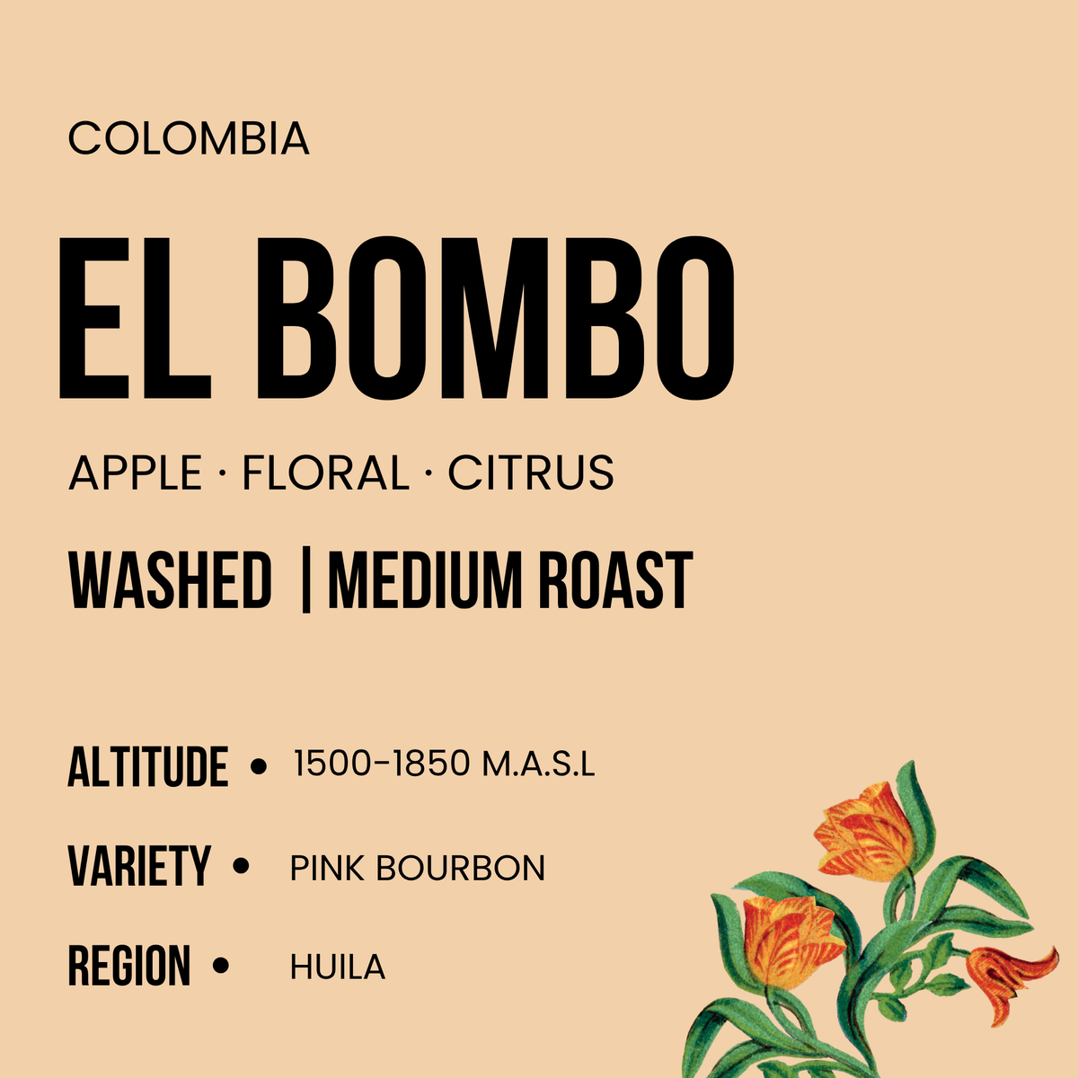 Colombia - El Bombo - Medium Roast