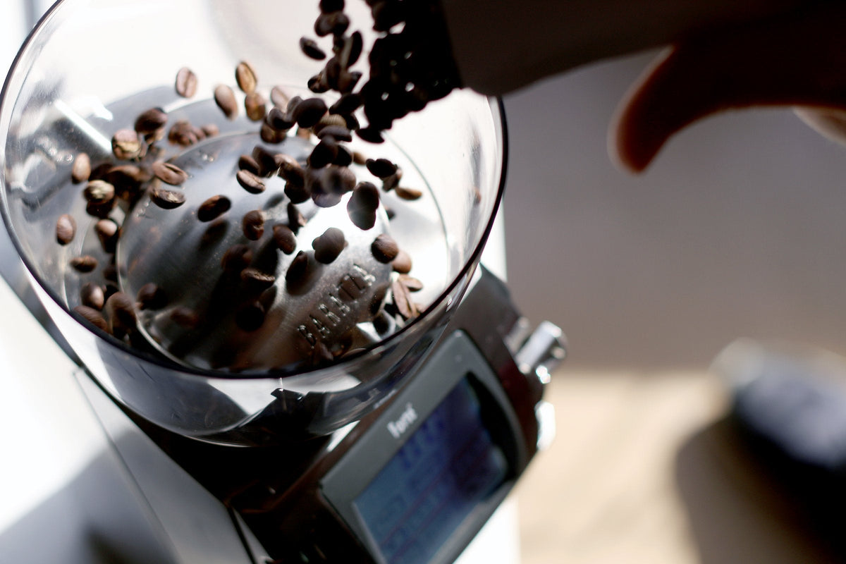 Baratza Forté-BG Coffee Grinder