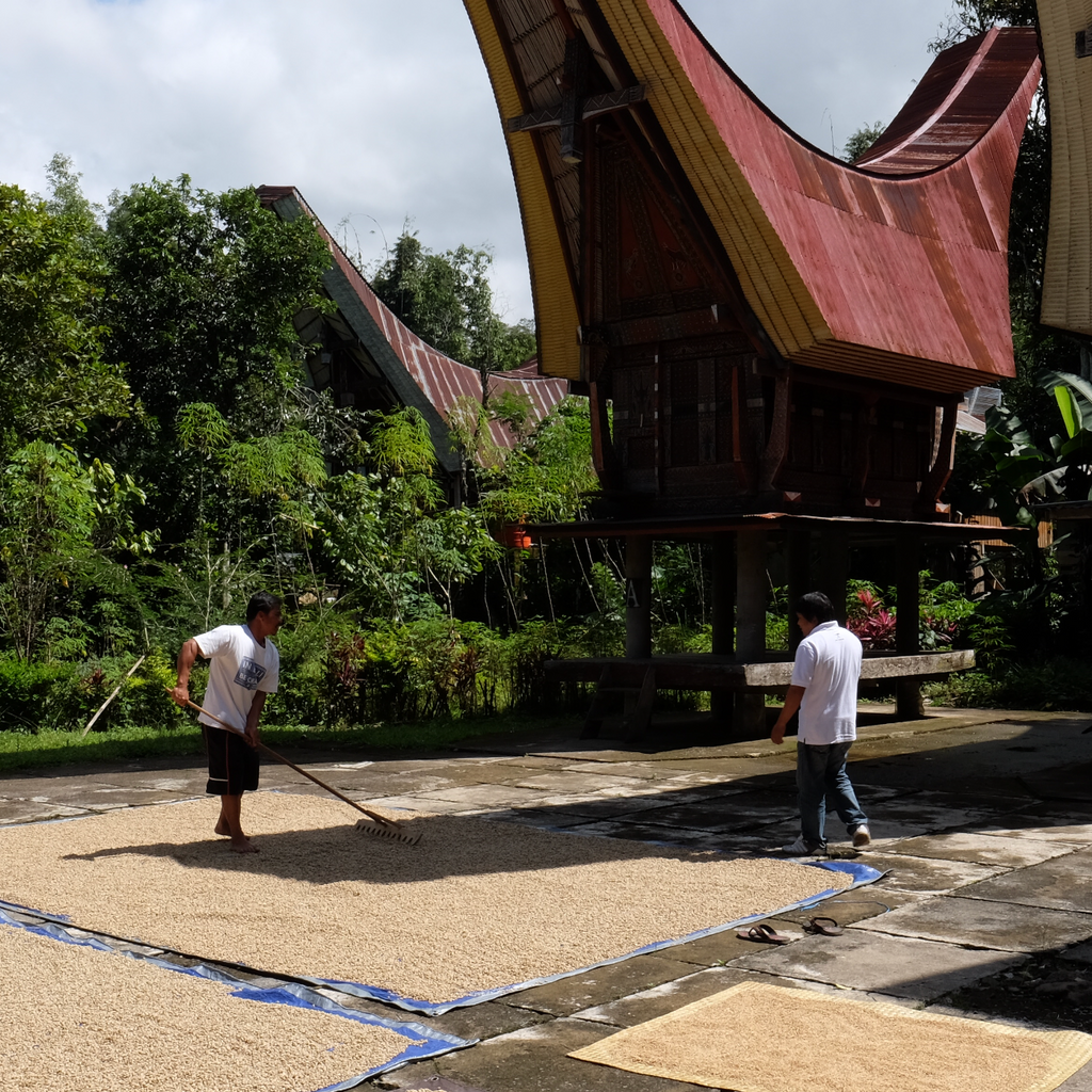 SUMATRA BEBAGI KEPADA