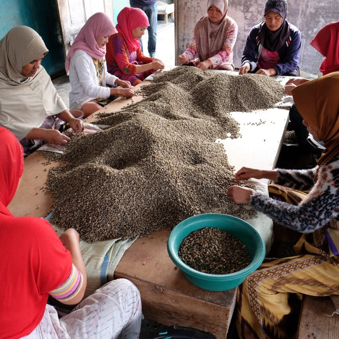 SUMATRA BEBAGI KEPADA
