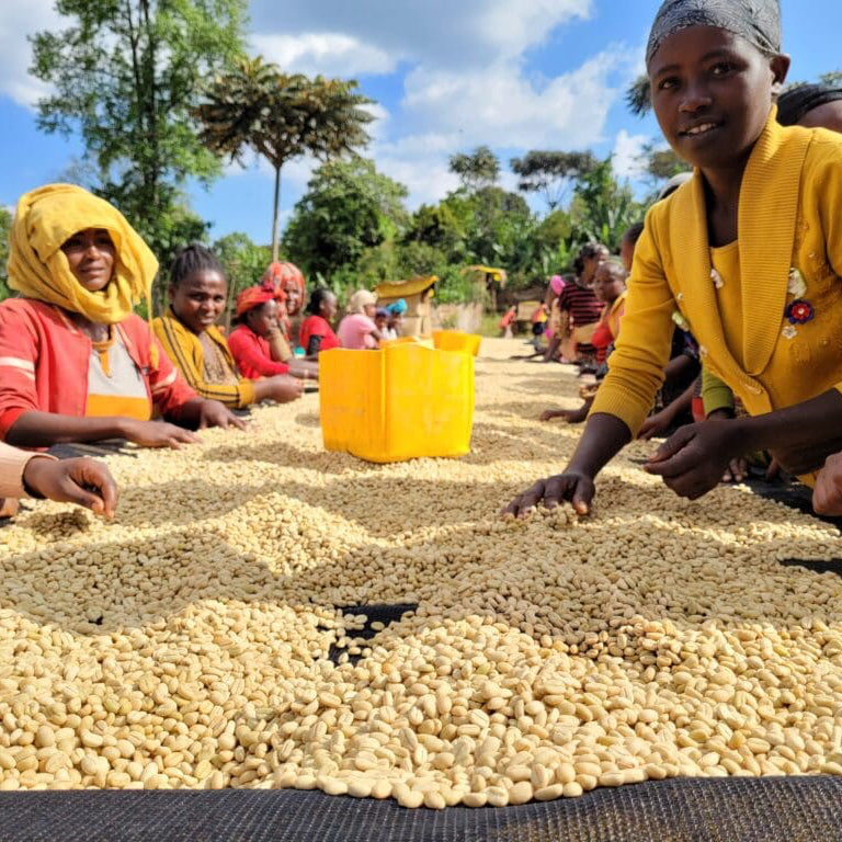 ETHIOPIA BIRUHI