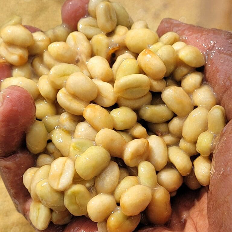 ETHIOPIA BIRUHI