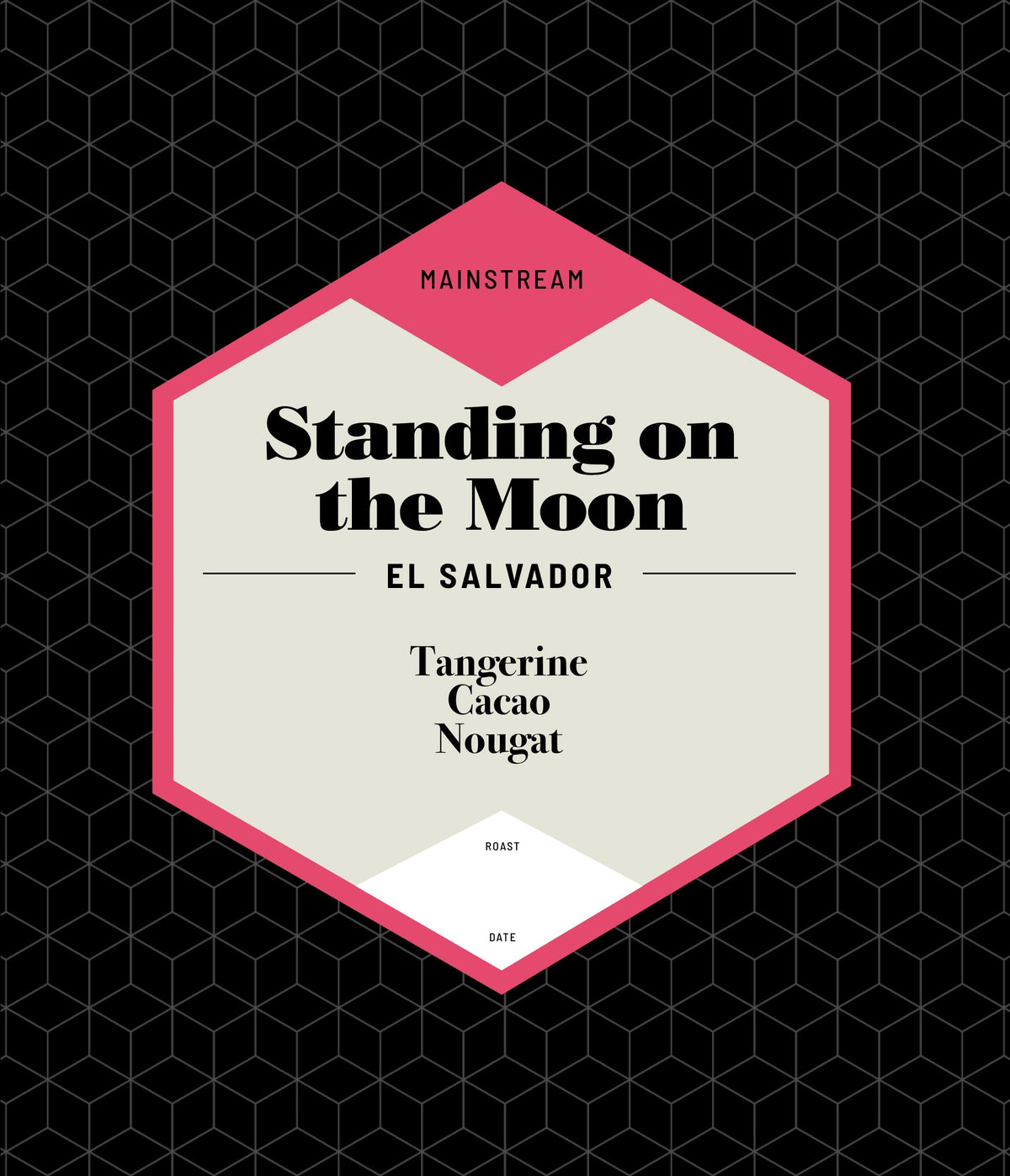 Standing on the Moon