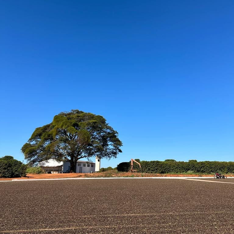 BRAZIL FAZENDA FRUTAS