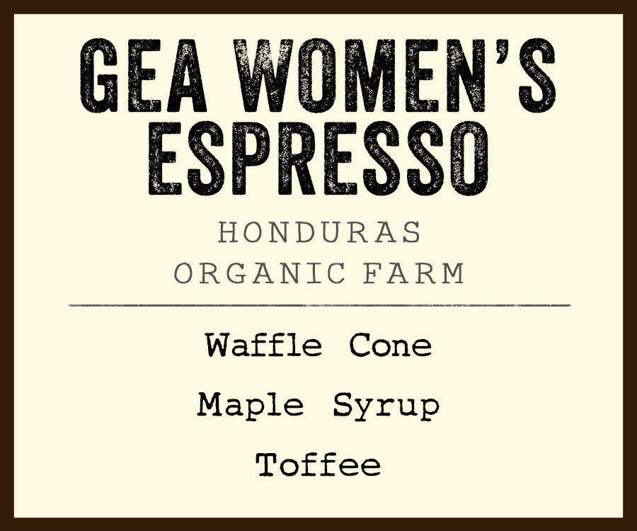 Gea Women's ESPRESSO