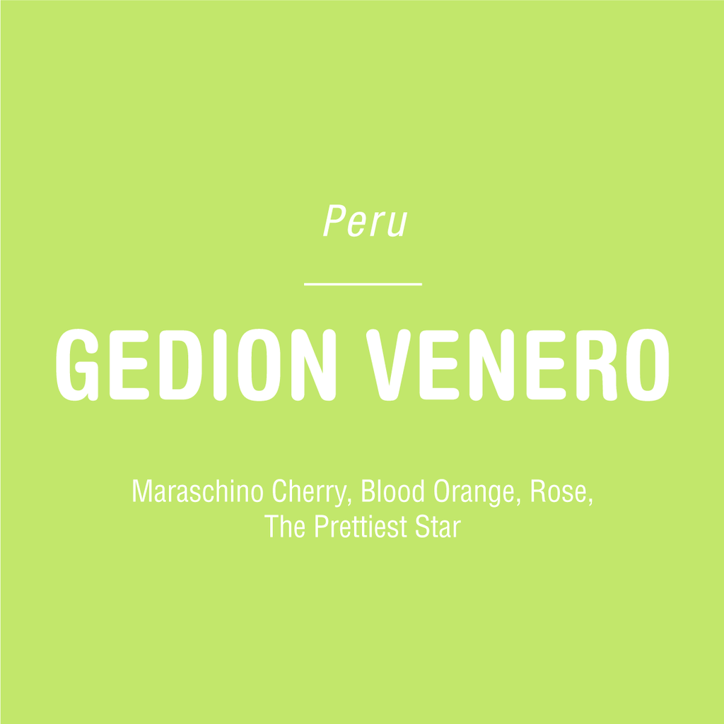 Peru Gedion Venero