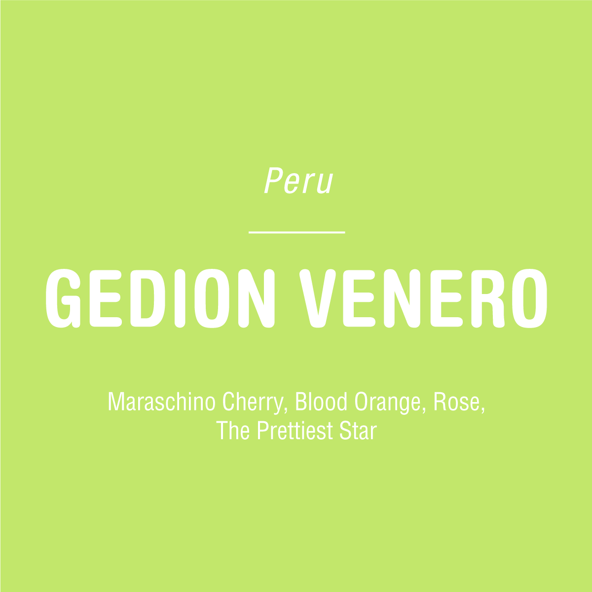Peru Gedion Venero