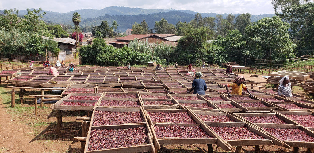 Ethiopia Gotiti
