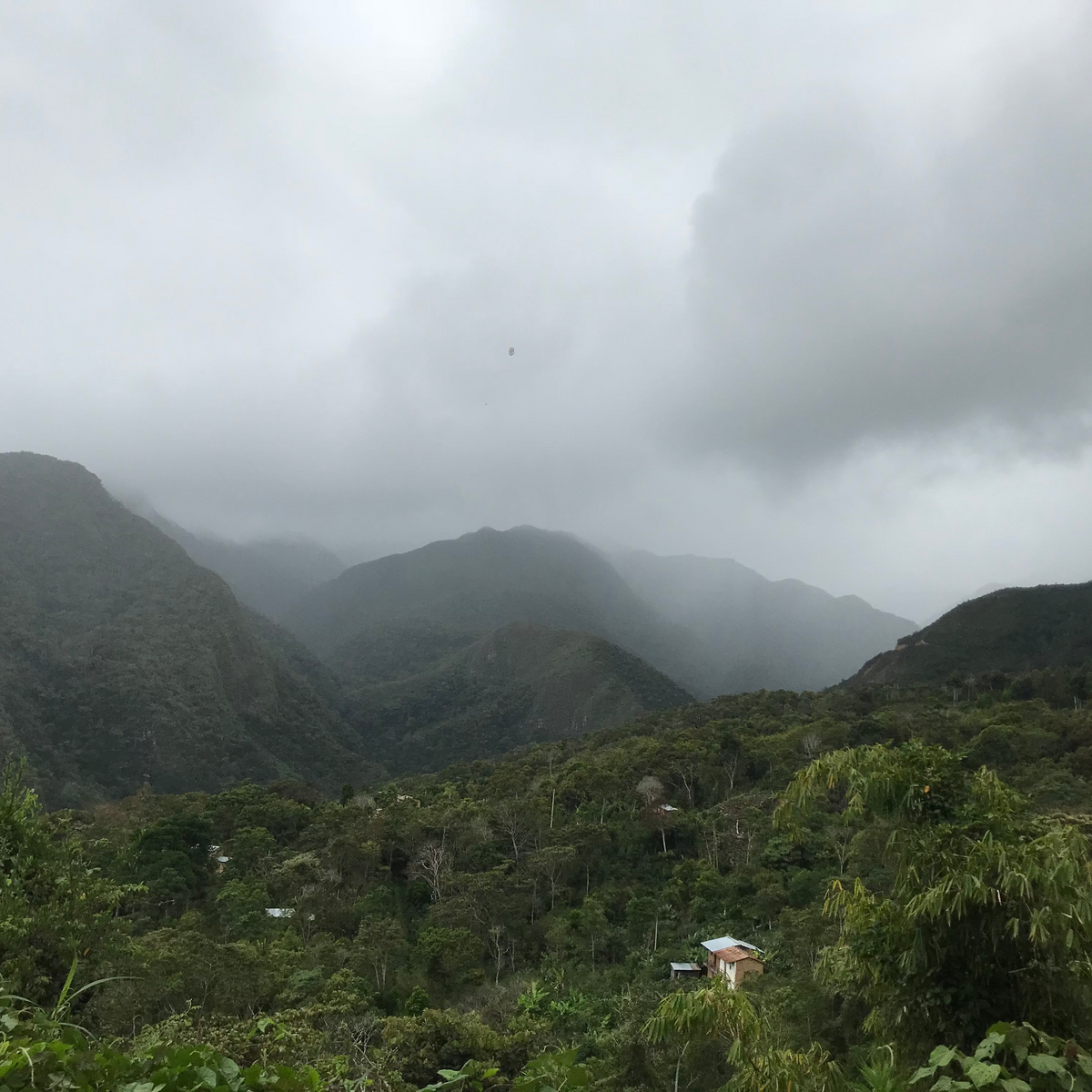 PERU ABDON QUILLA OCHOCHOQUE