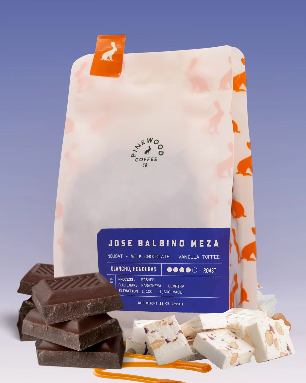 Honduras Jose Balbino Meza