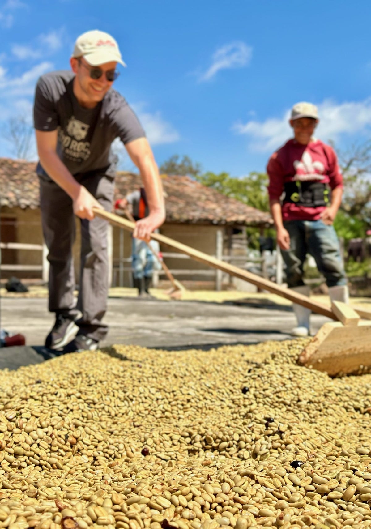 El Salvador Los Planes Pacamara