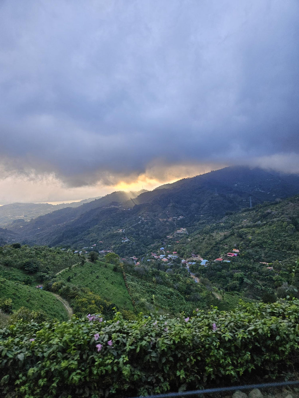 San Rafael Tarrazu