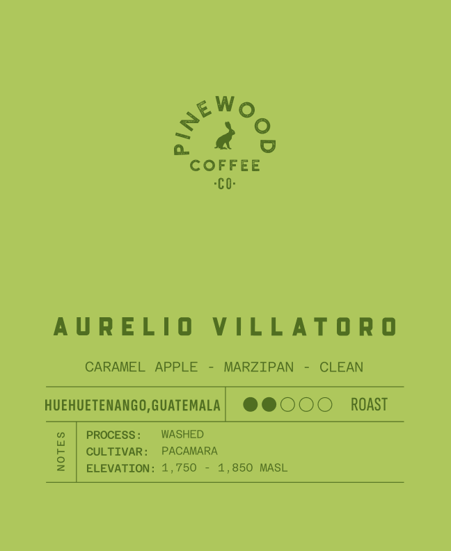 Guatemala Aurelio Villatoro