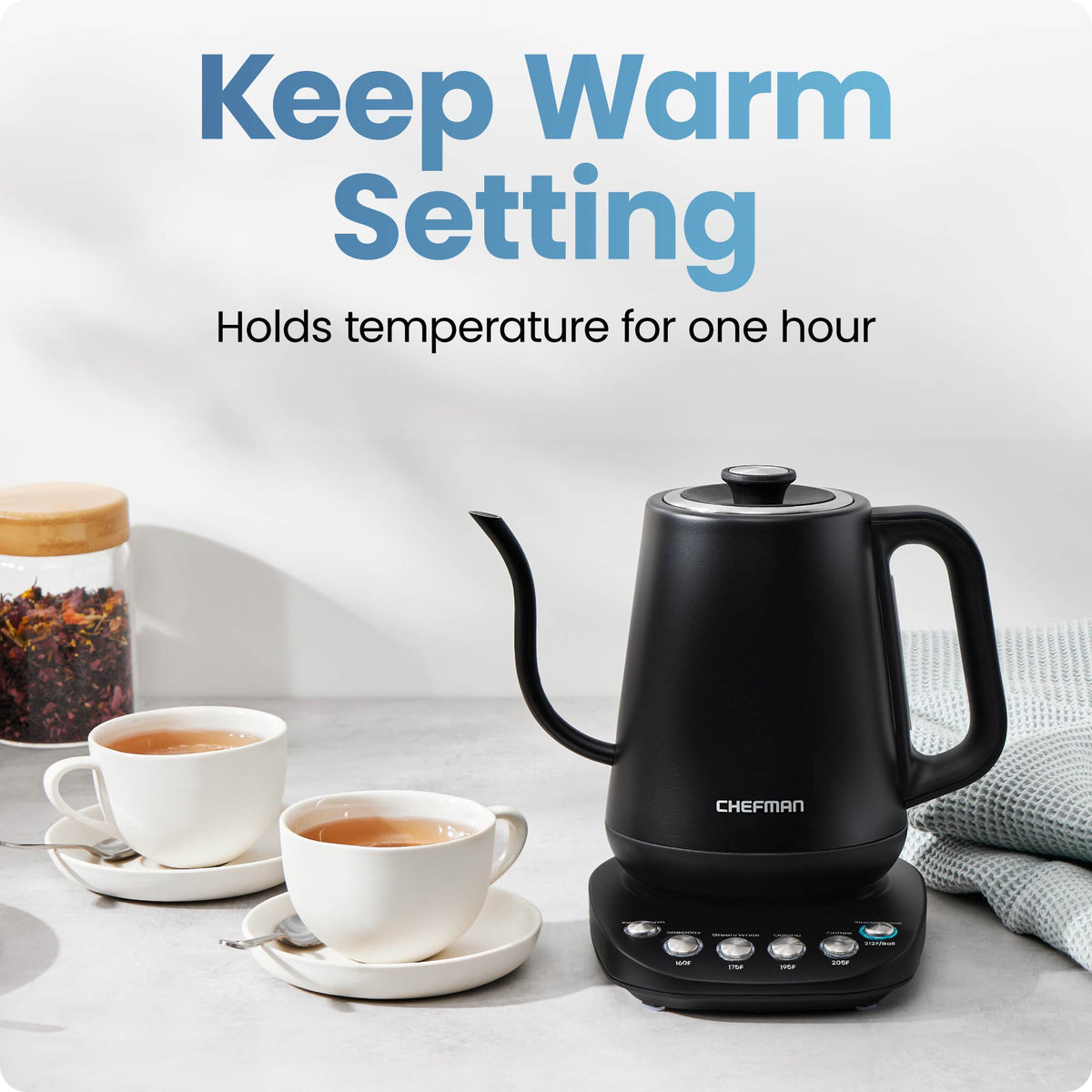 True Temp Gooseneck Kettle