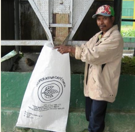 Ermera Peaberry
