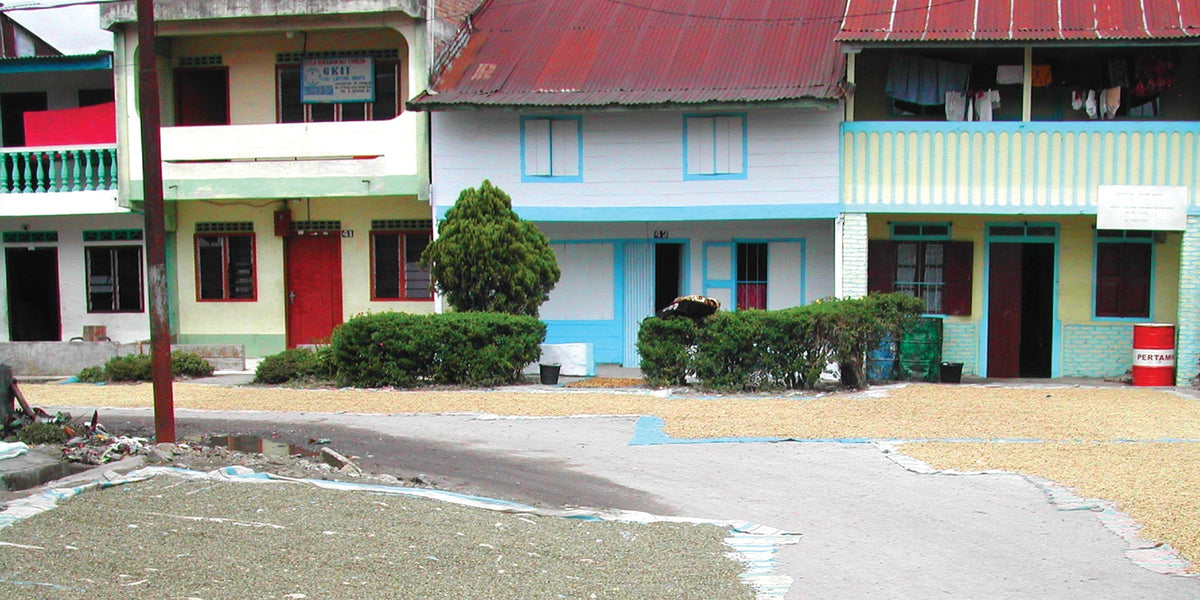 Sumatra Mutu Batak