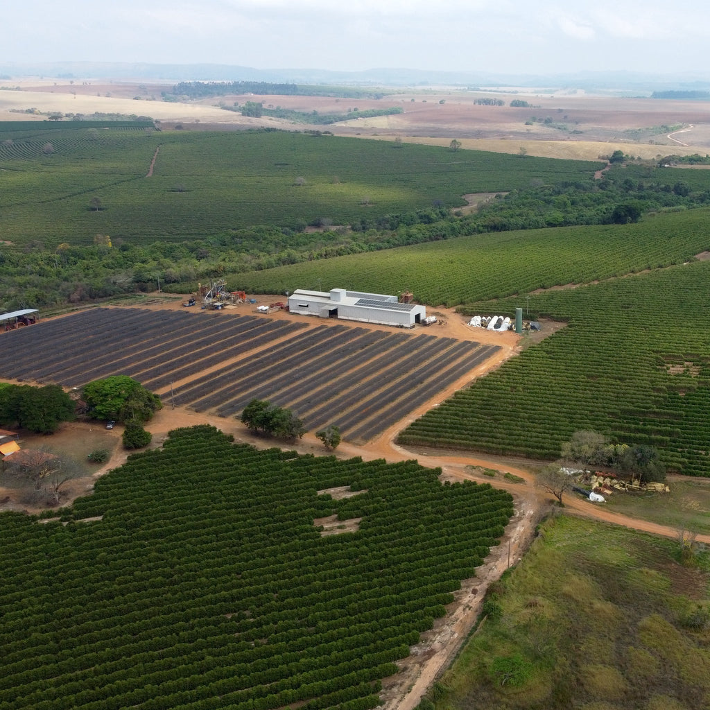 Brazil Terra Alta Natural
