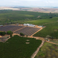 Brazil Terra Alta Natural