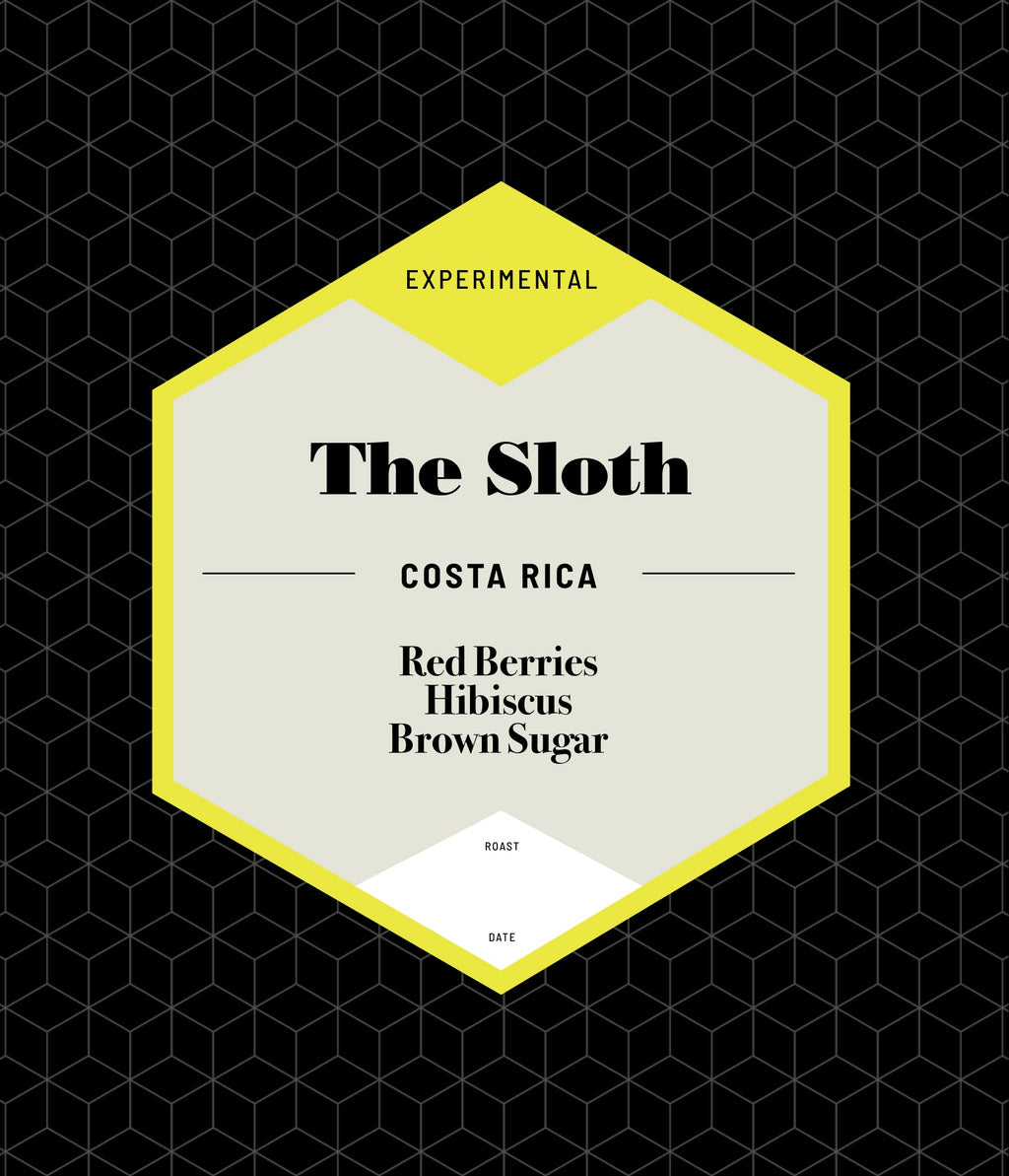The Sloth