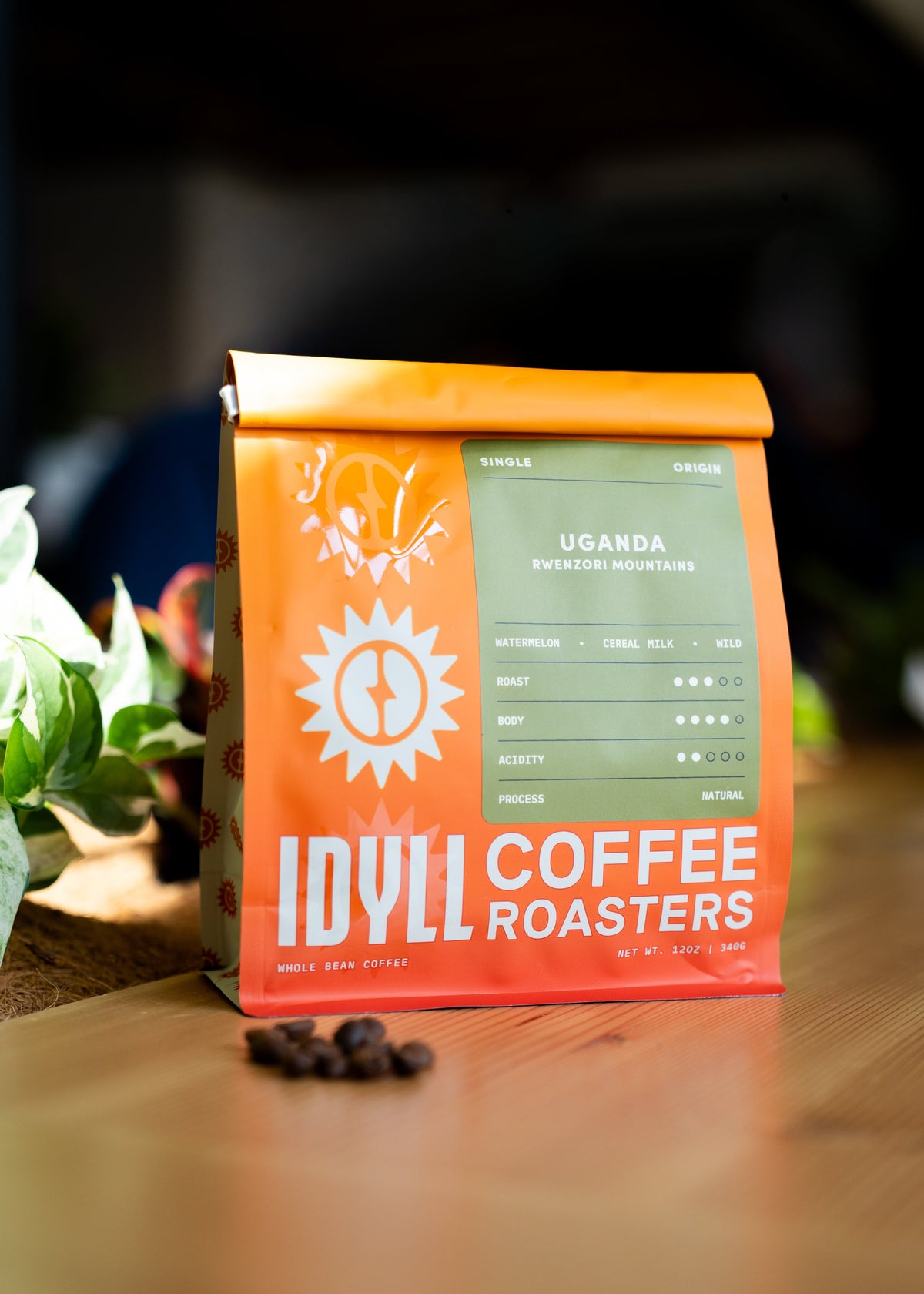 Uganda Rwenzori Natural