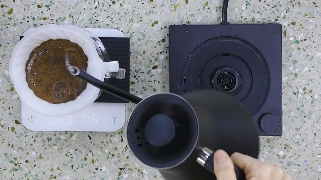 Coffee School One-on-One Coaching