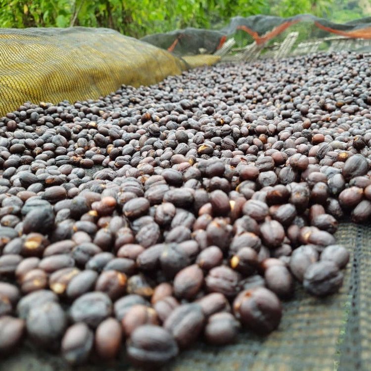 ETHIOPIA YEBESELE NATURAL