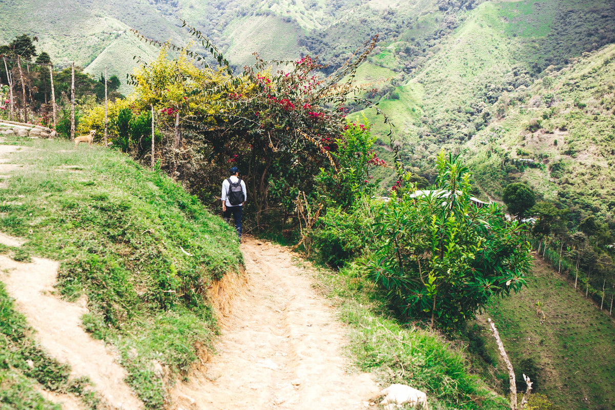 Colombia San Sebastián Reserva