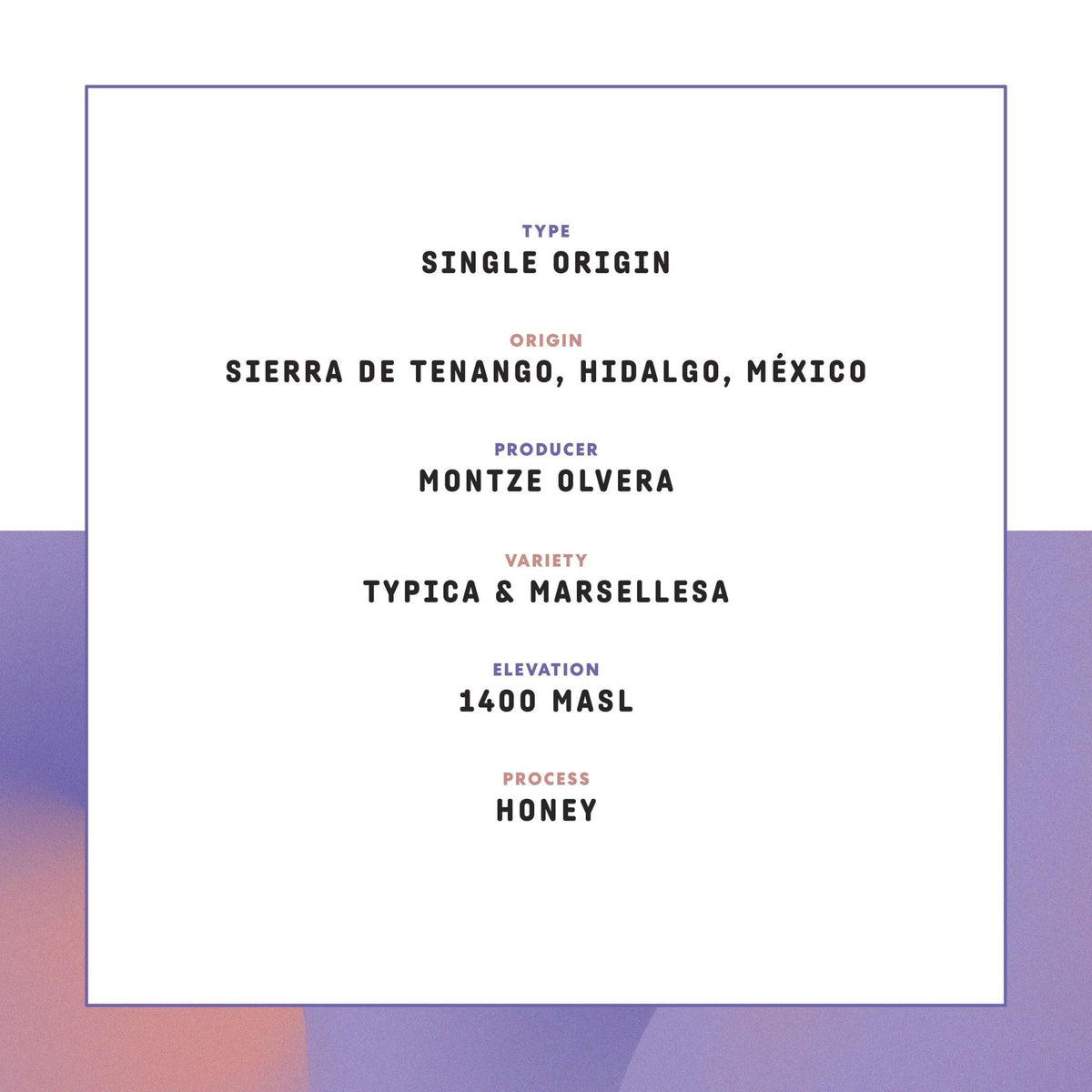 Cafè Feminista: Montze Olvera