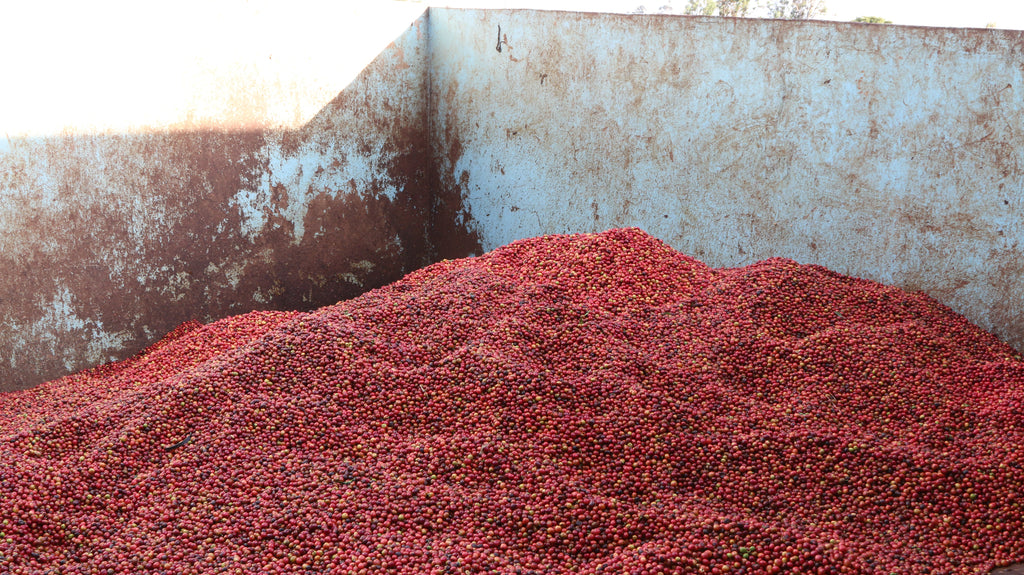Kenya Kii AB