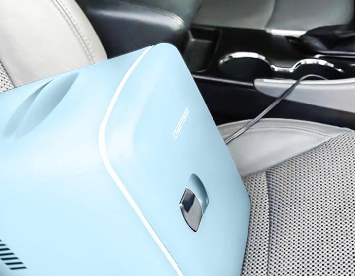 Portable Personal Fridge