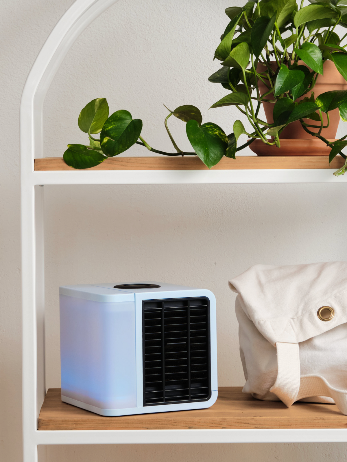 evaLIGHT plus