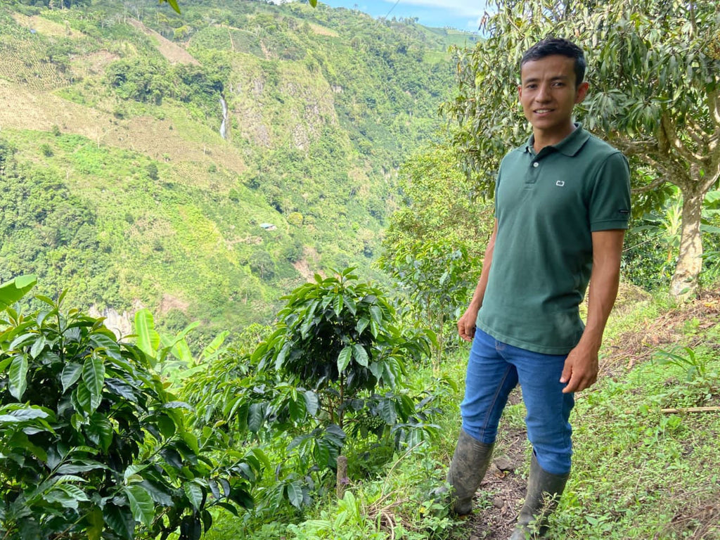 Colombia El Chaferote Pink Bourbon