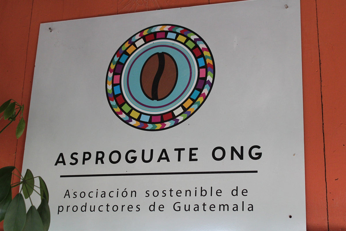 Organic Fair-Trade Guatemala El Volcan