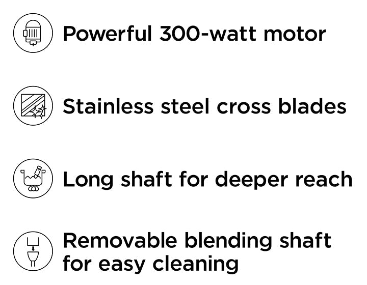 Immersion Hand Blender