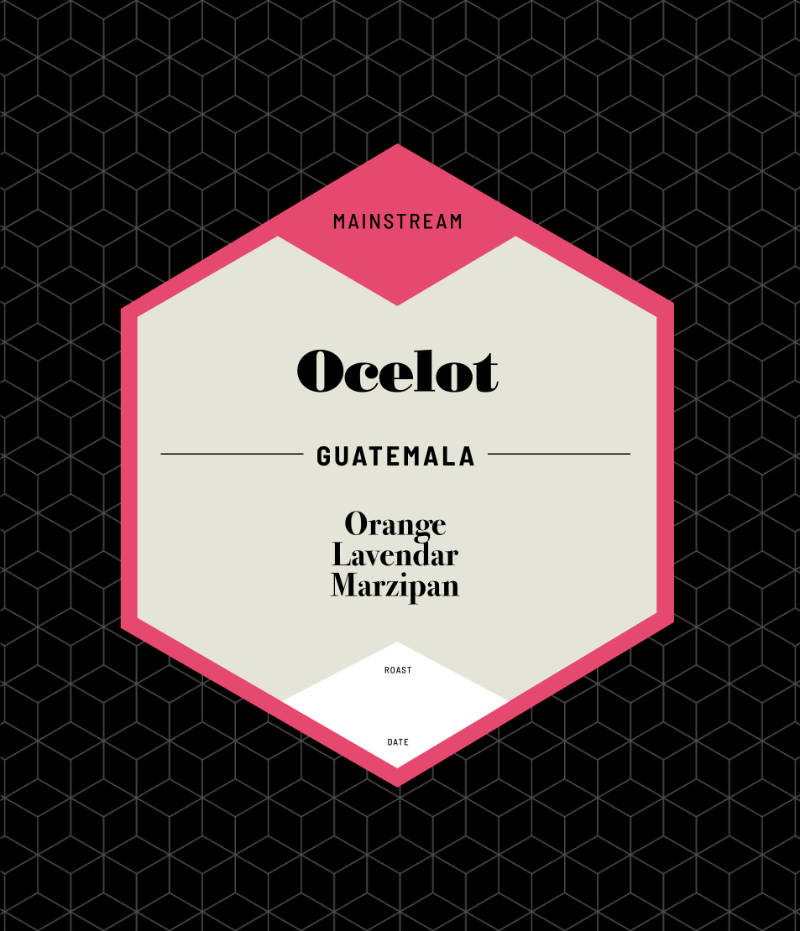 Ocelot